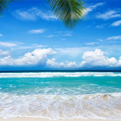 贝博app代言艾弗森app下载截图