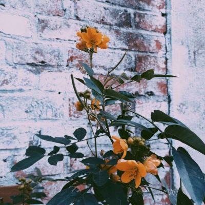 亿博·app官方网站